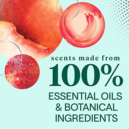 Seventh Generation All Purpose Cleaner, Degreasing Formula, Fresh