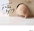 かわいさに悶絶 ハムケツ