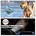Flittor Bark Collar, 2020 Professional No Bark Collar Rechargeable with Beep, Anti bark Collar with Adjustable Sensitivity and Intensity Beep Vibration No Harm Shock for Small Medium Large Dogsthumb 4