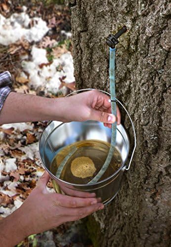 Maple Syrup Tree Tapping Kit - Includes 10 Syrup Collection Tubes, 10 Heavy Duty Tree Taps and a Premium Quality Syrup Filter