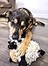 goDog Fuzzy Wuzzy Sheep with Chew Guard Tough Plush Dog Toy