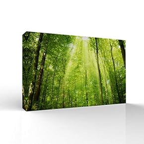Canvas Wall Art-Sunshine in The Forest -Canvas Prints Home Artwork Decoration for Living Room,Bedroom - 16x24 inches