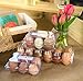 12 Pack Premium Clear Plastic Reusable Half Dozen Egg Container Carton with Labels Holds 6 Large Eggs