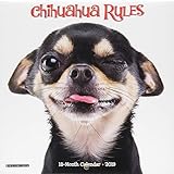 Chihuahua Rules Mini 2019 Wall Calendar (Dog Breed Calendar) by 