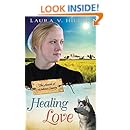 Healing Love The Amish Of Webster County Book 1 Kindle