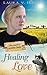 Healing Love (The Amish of Webster County) by Laura V Hilton