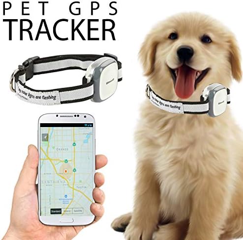 best dog gps tracker amazon