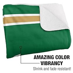 Wright State Raiders Primary Logo Stripes Sherpa