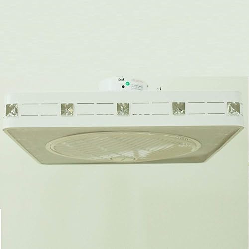ALUOAGE Ceiling Fan with Lights, Invisible Acrylic Blade Metal Shell