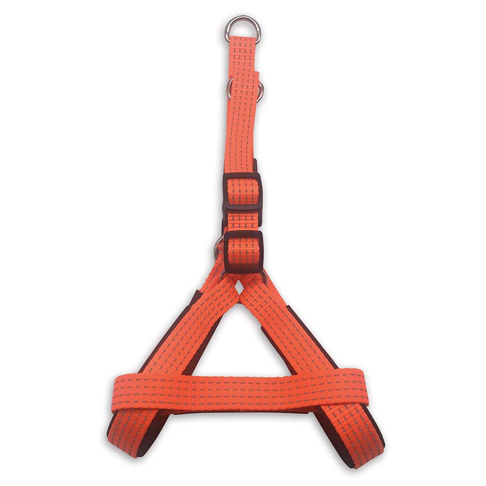 Arquivet 17636 Orange Harness, 2.5 x 55-75 cm