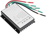 Vikye SF-12-24-A 12V/24V 300W/600W Waterproof Wind Turbine Generator Charge view 5