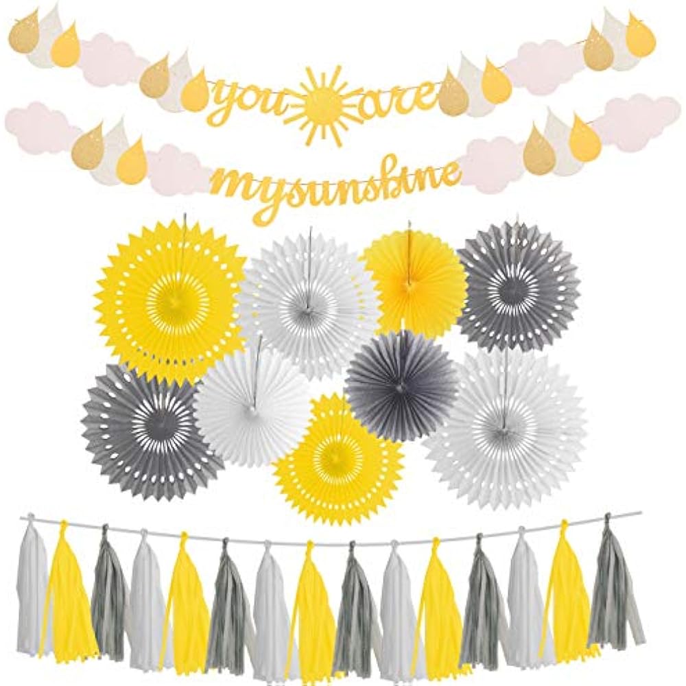 You Are My Sunshine Party Supplies My Decorations Are Banners