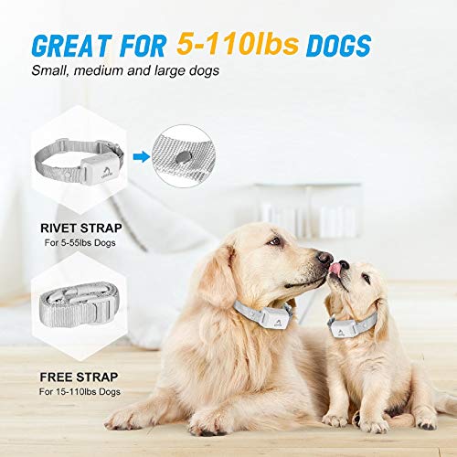 PATPET Dog Bark Collar with NoShock Mode, Automatic Mode, Bark Collar