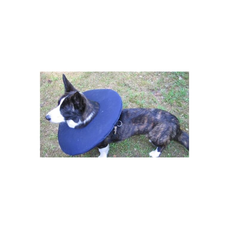 Tepaw Premium Halskrause für Hunde und Katzen TierKragen