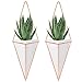 Nellam Ceramic Planter Set - 2 Pcs Modern Geometric Hanging Wall Pots - Copper Framed, Mounted Decorative Vases & Container for Indoor Plants & Succulents - for Flowers, Herbs, Vegetables