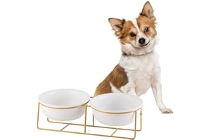 LIONWEI LIONWELI Elevated Dog Bowls for Small Dogs - 2 Ceramic Bowls with Gold Iron Stand - Raised Pet Dish Set for Food and Water - Comfortable Feeding