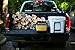BioLite FirePit Outdoor Smokeless Fire Pit Grill