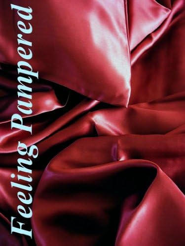 Feeling Pampered 100% Mulberry Silk Charmeuse Fitted Sheet Queen Burgundy Wine Half of Retail