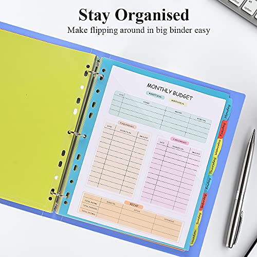 INFUN 8Tab Plastic Binder Dividers with Front Pockets 3 Sets