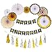 HOLLOSPORT Black and Gold Birthday Decorations with Black Happy Birthday Banner, Round Paper Fans, Tissue Tassels for Hanging Party Supplies