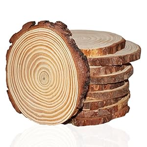 Kurtzy Pack 10 Discos Rebanadas de Madera Natural 10-11cm – Discos de Madera Rústicos con Corteza y Suave Acabado Liso – Alrededor 10mm de Grosor – Discos de Madera Redondos para Manualidades Bricolaje y Decoraciones