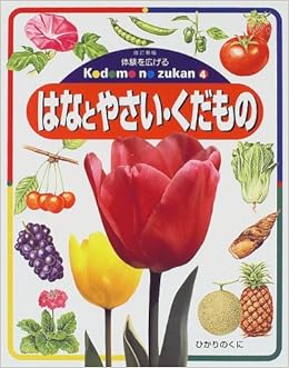 はなとやさい くだもの 体験を広げるこどものずかん 朋重 山田 本 通販 Amazon