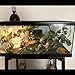 Hamiledyi 4 Pcs Flexible Bend A Branch Jungle Vines Terrarium Leaves Lizard Gecko Habitat Tank Decor for Frogs Snakes and More Reptiles