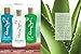 Panama Jack Aloe Moisturizer Lotion - After Sun Daily Skincare , Contains Olive & Hemp Seed Oils with Vitamin E, 8 FL OZ (Pack of 1)