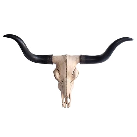 Large Faux Texas Longhorn Cow Skull Wall Hanging Sculpture The