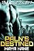 Paln's Destined (Universal Brides Book 1) (A SciFi Alien Romance)