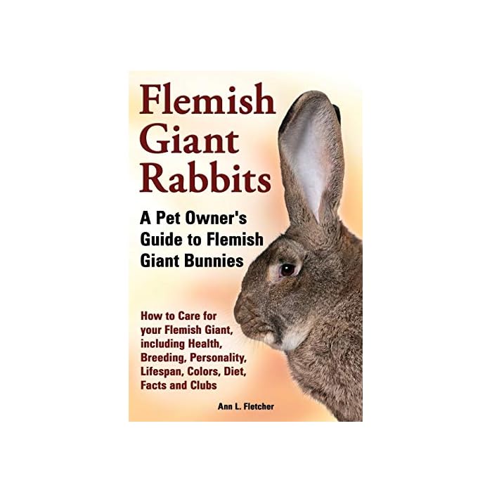 Buy Flemish Giant Rabbits, A Pet Owner's Guide to Flemish Giant Bunnies How to Care for your