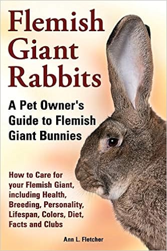 continental giant rabbit cost