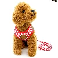 SELMAI Polka Dots Dog Vest Harness Leash Set Paw Patch Mesh Padded No Pull Leads for Small Dog Puppy Cat Red L