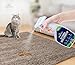 Petpourri Pet Odor Eliminator - Organic Stain Remover and Best Cat Urine Odor Remover - Fortified with Naturally Bio-Activated Enzymes - Light Citrus Oil Scent, 24 Oz