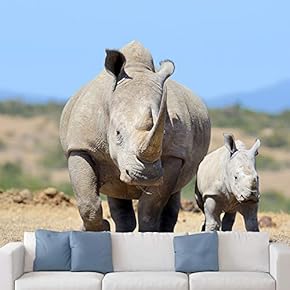 signwin Wall Mural Wild Animals Removable Self-Adhesive Wallpaper...