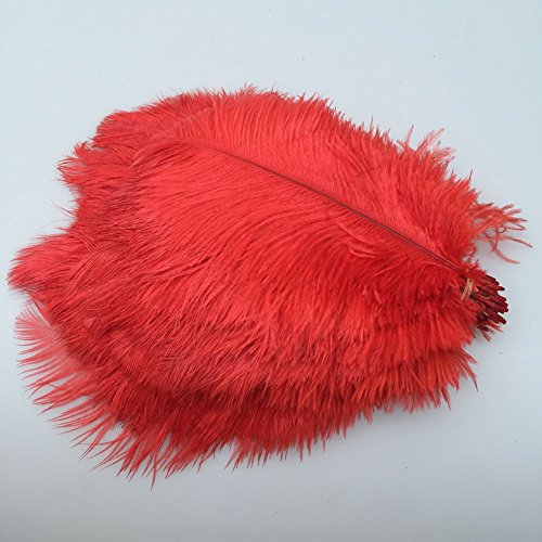 Sowder 50pcs natural 8-10inch(20-25cm) ostrich feathers…
