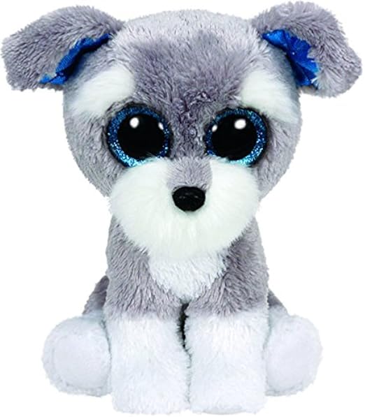 grey schnauzer dog
