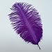 Sowder 20pcs Natural 10-12inch(25-30cm) Ostrich Feathers Plume for Wedding Centerpieces Home Decoration(Purple)