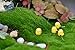 BeautyMood 10pcs Miniature Fairy Garden Herd of chickens (Yellow)