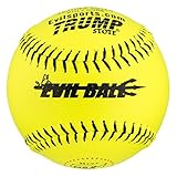 1 Dozen NSA Evil Ball 12