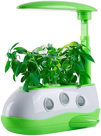 Indoor Hydroponic Herb Garden Kit with LED Grow Light and Desk Lamp Successory DIY Garden Starter Kit with Small Fish Tank (Green)