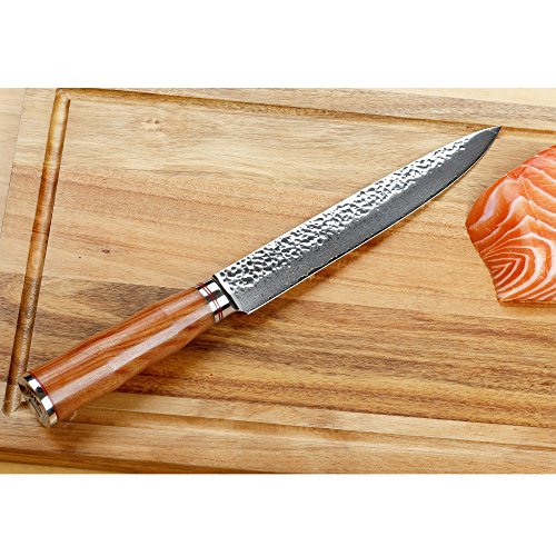 Sunlong 8 Inch Damascus Sashimi Sushi Knife,Best Quality Japanese VG10 Super Steel 67 Layer Damascus,Sharp Double-sided Blade, Environmentally Friendly RoseWood Handle SL-DK1046R