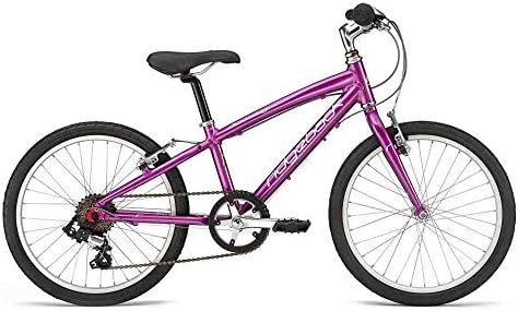 Dimension 20" Aluminum Bicycle in Metallic Purple by Ridgeback (Age 6-9)