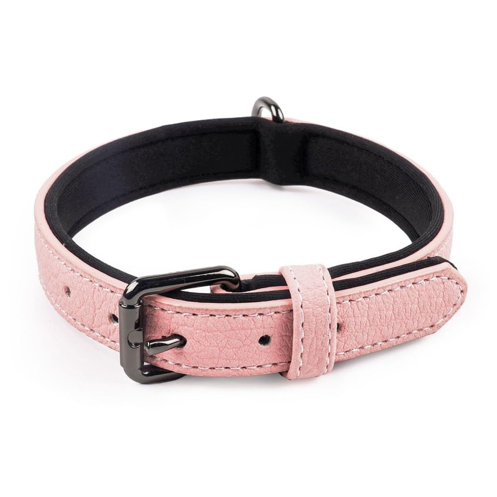 Leather Dog Collar, Soft Padded Leather Collar with Adjustable Metal Buckle for Puppies Small Medium Large Dogs