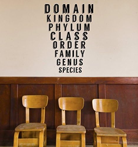 ChloeLew778 Science Class Taxonomy Decal Biology Classroom Decal Zoology Wall Decal Class Sticker Teacher Decorations Animal Science Decal