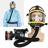 Electric Constant Flow Supplied Air Fed Full Face Gas Mask Respirator System