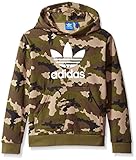 adidas Big Boys' Originals Trefoil Graphic Hoodie