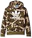 adidas Big Boys' Originals Trefoil Graphic Hoodie