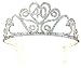 Forum Novelties 40th Birthday Glitter Tiara