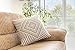 TreeWool Kaleidoscope Accent 22x22 Set of 2 Spring Summer Decorative Throw Pillow Covers 100% Cotton Home Decor Pillowcases for Sofa Living Room Couch (Sleet Gray)